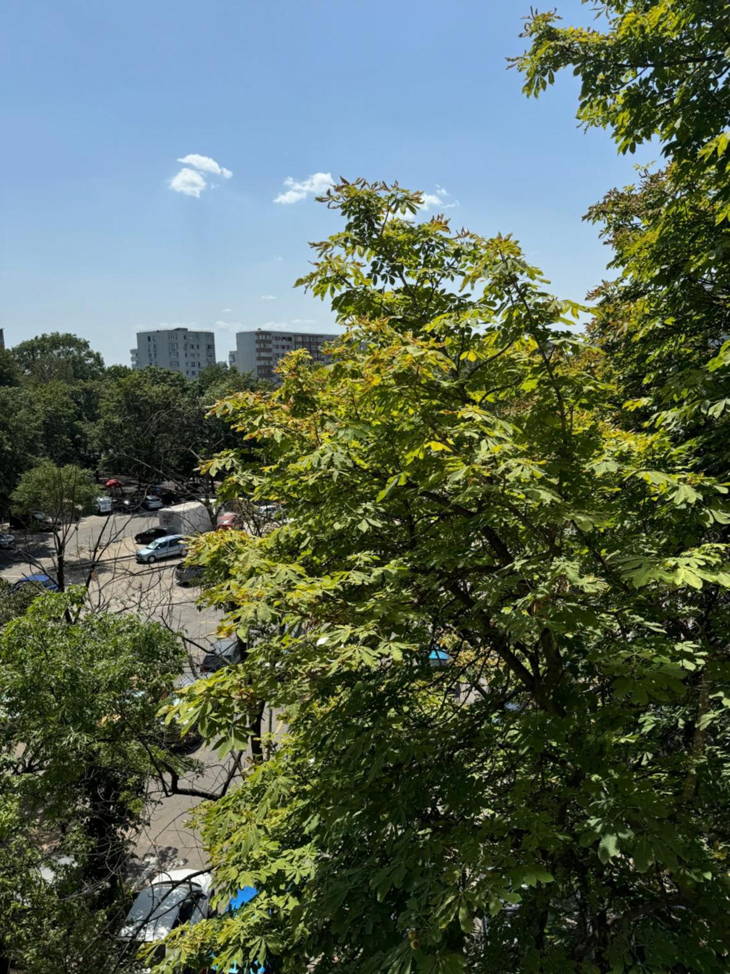 Park Lake Apartment Букурещ Екстериор снимка